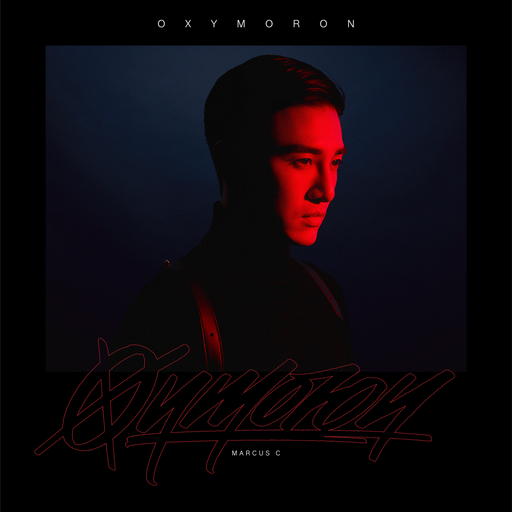 连云港电容器厂家用小蛙营销导航
